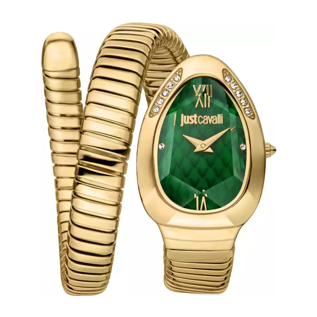 MONTRE JUST CAVALI FEMME  ACIER